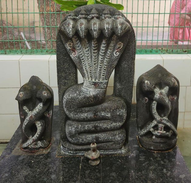 Sri Nagendra Swami Temple